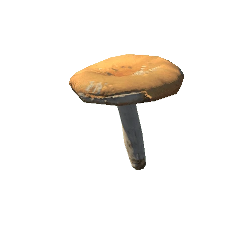 Mushroom23