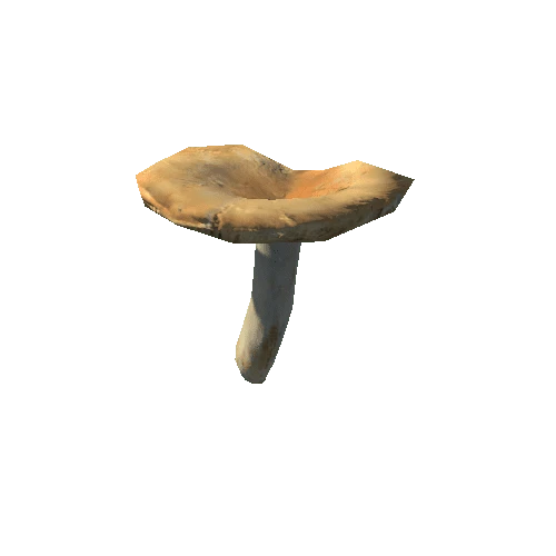 Mushroom25