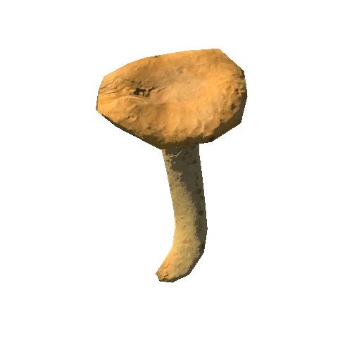 Mushroom28