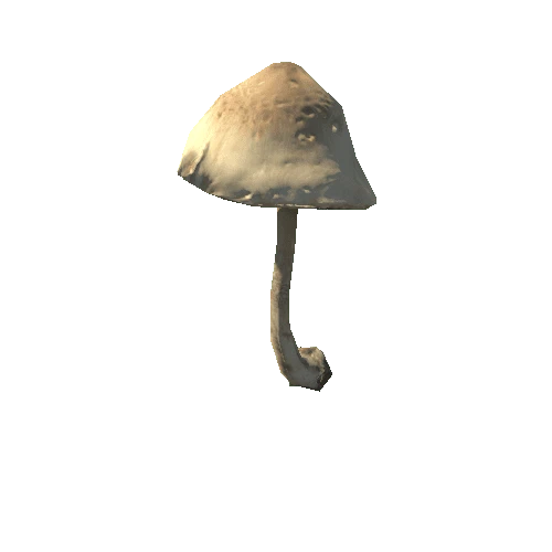 Mushroom30