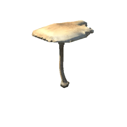 Mushroom31