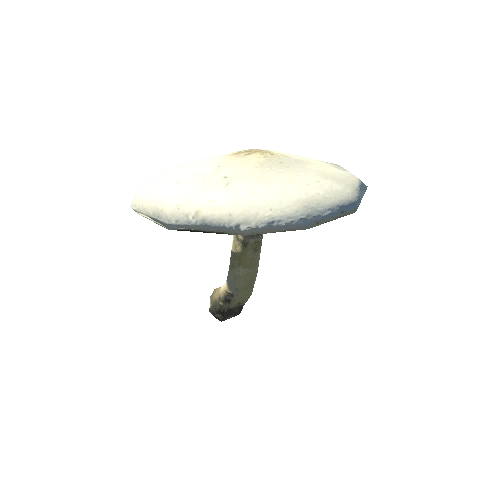 Mushroom33