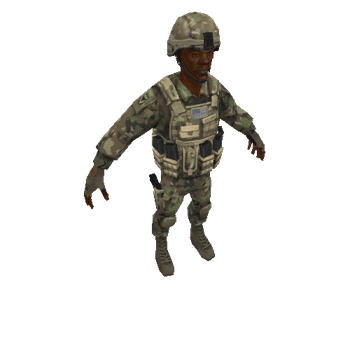 SoldierBlackB_LS_V2_WOODLAND