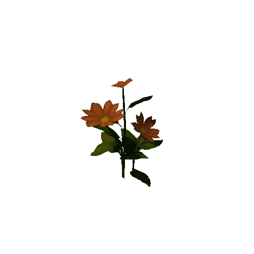 Flower_Orange_C