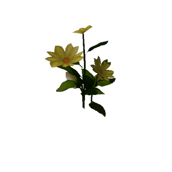 Flower_Yellow_C