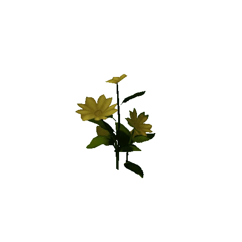 Flower_Yellow_C