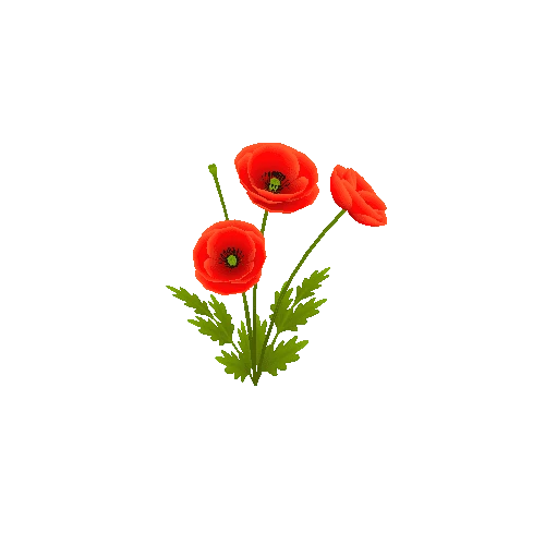 poppies_03