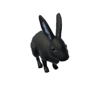 RabbitColor2