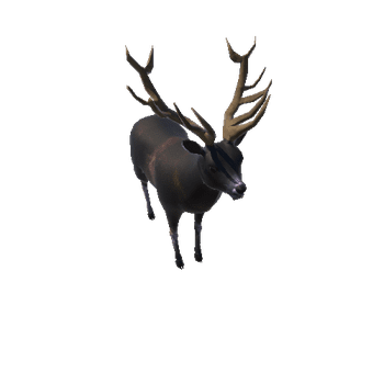 deerColor1