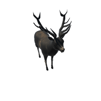 deerColor2