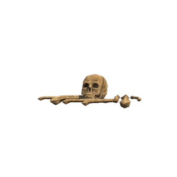 Skull_3B