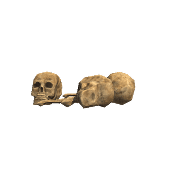 Skull_4B_1