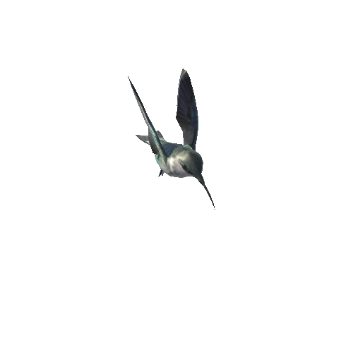 Hummingbird