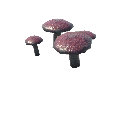 Mushrooms_A