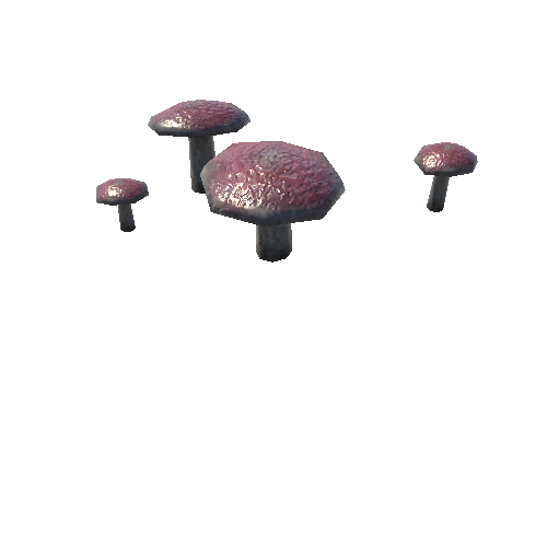 Mushrooms_B