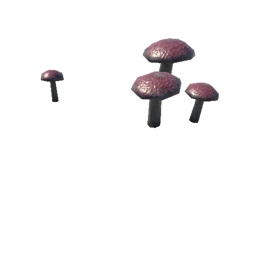 Mushrooms_C