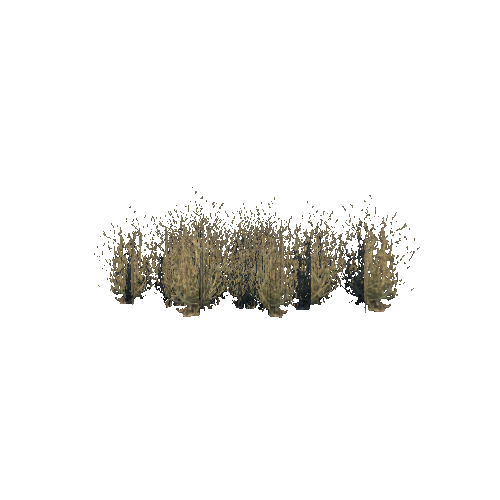 Plant_drygrass_set