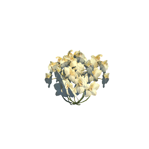 Plant_flowers_white