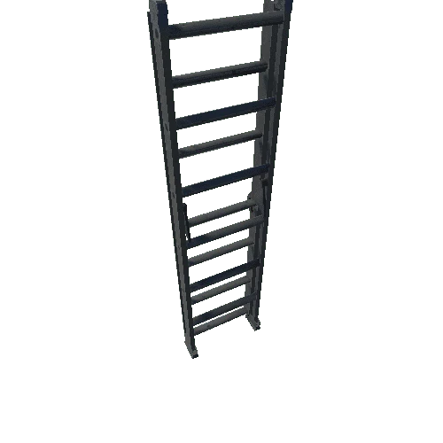 ladder-2