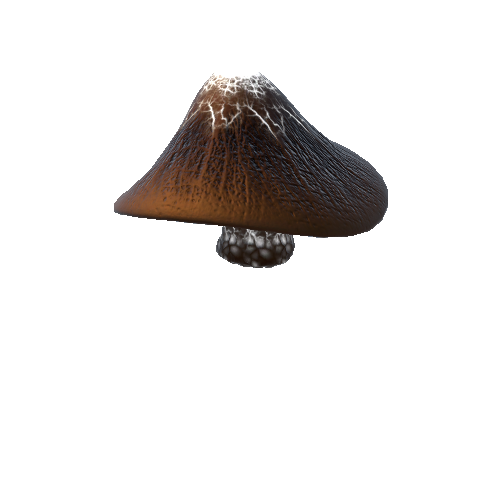 mushroom-cave-2