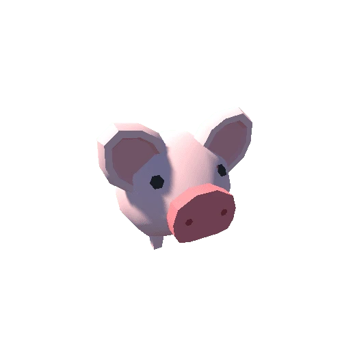 Pig