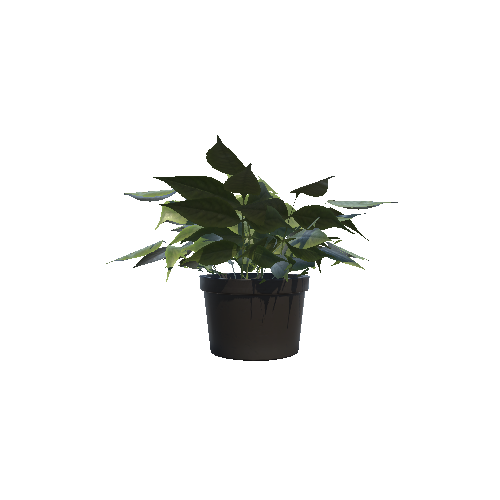 Plant_B