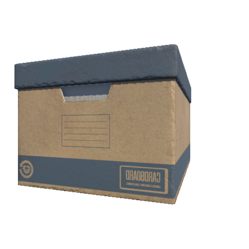 Storage_cardboard_box_C