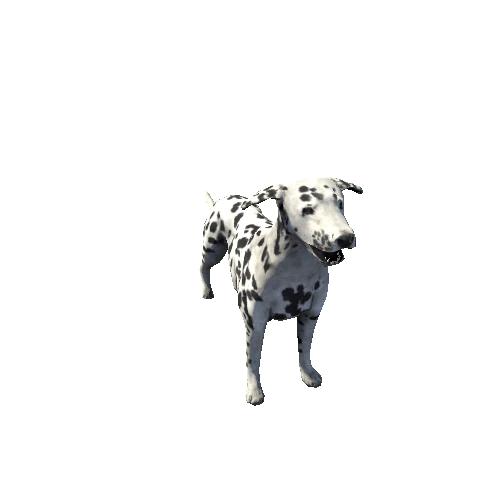 Dalmatian_FV_RM_LP_Black