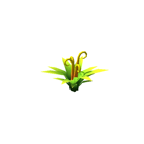 Yellow_Plant