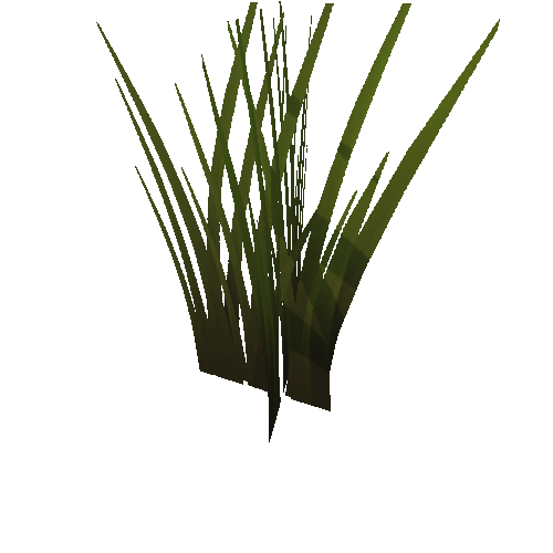 Grass01