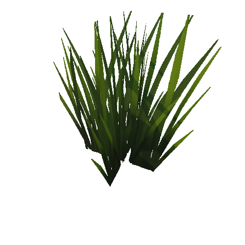 Grass02