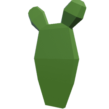 Cactus_4