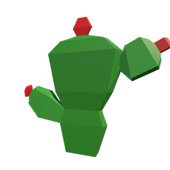 Cactus_5