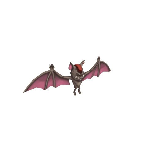 Bat3_Brown