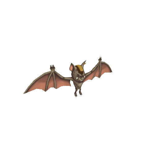 Bat3_Yellow