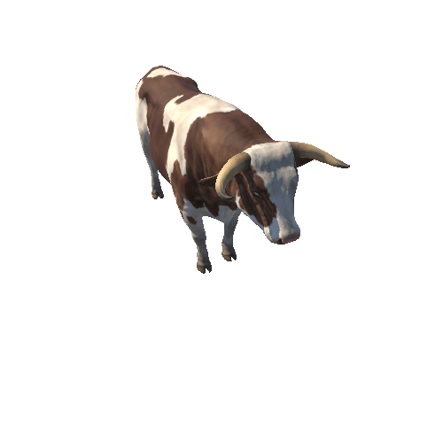 Bull_HighPoly_c1