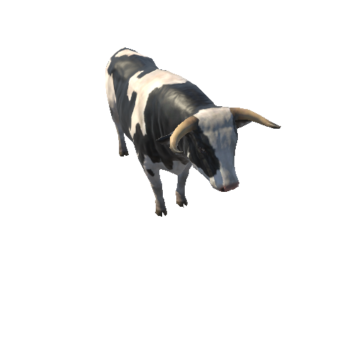 Bull_LowPoly_c2