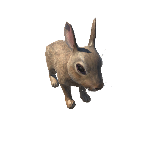 Bunny_LowPoly_c1