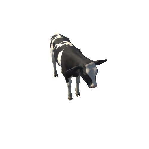 Calf_Highpoly_c1