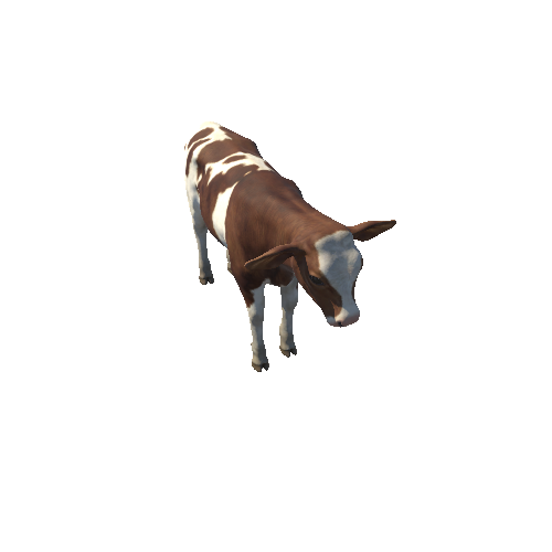 Calf_Highpoly_c2