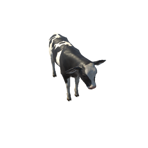 Calf_Lowpoly_c1