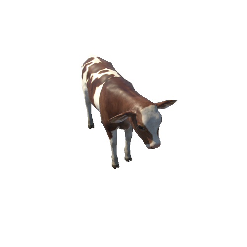 Calf_Lowpoly_c2