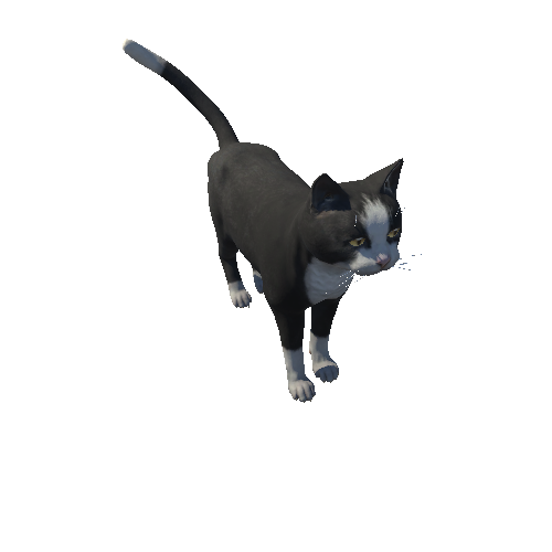 Cat_Fat_HIghPoly_c1