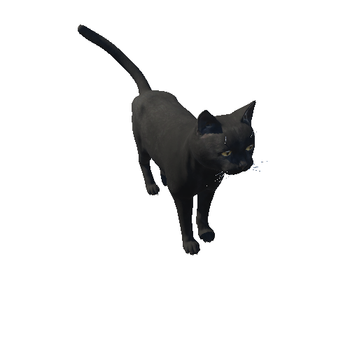 Cat_Fat_HIghPoly_c2