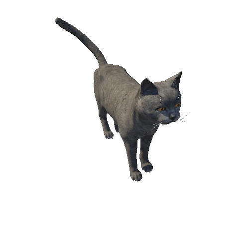 Cat_Fat_HIghPoly_c3