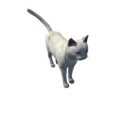 Cat_Fat_HIghPoly_c6