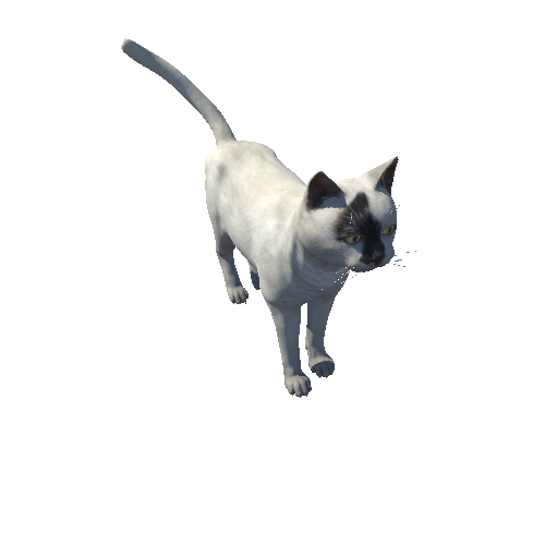 Cat_Fat_HIghPoly_c7