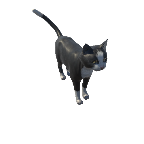 Cat_Fat_LowPoly_c1