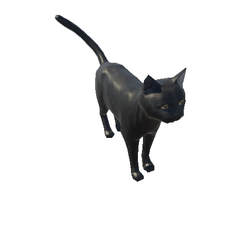 Cat_Fat_LowPoly_c2