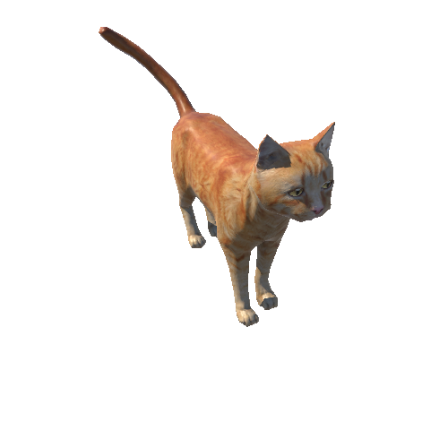 Cat_Fat_LowPoly_c4